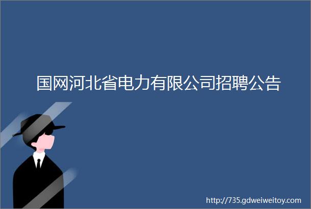 国网河北省电力有限公司招聘公告